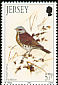Fieldfare Turdus pilaris  1992 Winter birds 