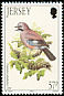 Eurasian Jay Garrulus glandarius  1993 Summer birds 