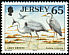 Grey Heron Ardea cinerea  1999 Seabirds and waders 