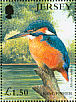 Common Kingfisher Alcedo atthis  2001 Belgica 2001  MS