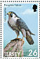 Peregrine Falcon Falco peregrinus  2001 Birds of prey Booklet