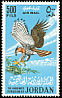 Ornate Hawk-Eagle Spizaetus ornatus  1964 Birds 