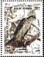 Eurasian Sparrowhawk Accipiter nisus  2003 Birds of prey 