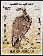Osprey Pandion haliaetus  2003 Birds of prey 