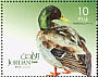Mallard Anas platyrhynchos  2009 Birds 