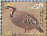 Chukar Partridge Alectoris chukar  2017 Birds native to Jordan Sheet