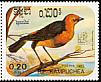 Saffron-cowled Blackbird Xanthopsar flavus  1985 Argentina 85 