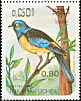 Blue-and-yellow Tanager Rauenia bonariensis  1985 Argentina 85 