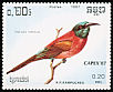 Northern Carmine Bee-eater Merops nubicus  1987 Capex 87 