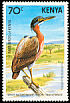 White-backed Night Heron Calherodius leuconotus  1984 Rare birds of Kenya 