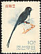 Black Paradise Flycatcher Terpsiphone atrocaudata  1962 Birds 