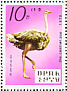 Common Ostrich Struthio camelus  1979 Zoo animals Sheet