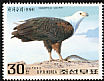 African Fish Eagle Icthyophaga vocifer  1992 Birds of prey 