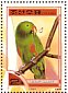 Moluccan Eclectus Eclectus roratus  2000 Parrots Sheet