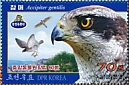 Eurasian Goshawk Accipiter gentilis  2019 Central Zoo Sheet with 2 each