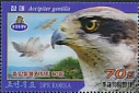 Eurasian Goshawk Accipiter gentilis  2019 Central Zoo 6v set, 3D