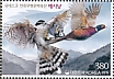 Eurasian Goshawk Accipiter gentilis  2019 Falconry Sheet
