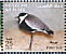 Spur-winged Lapwing Vanellus spinosus  2002 The Scientific Center of Kuwait 13v sheet