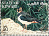 Northern Lapwing Vanellus vanellus  2002 The Scientific Center of Kuwait Booklet