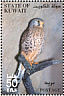 Common Kestrel Falco tinnunculus  2002 The Scientific Center of Kuwait Booklet