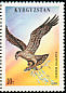 Osprey Pandion haliaetus  1995 Birds 