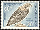 Osprey Pandion haliaetus  1966 Birds 