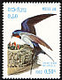 Barn Swallow Hirundo rustica  1982 Birds 