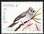 Black-naped Monarch Hypothymis azurea  1982 Birds 