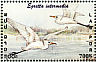 Medium Egret Ardea intermedia  2001 Philanippon 01 Sheet, no emblem on stamps