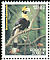 Great Hornbill Buceros bicornis  2004 Birds 