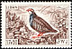 Red-legged Partridge Alectoris rufa  1965 Birds 