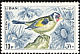 European Goldfinch Carduelis carduelis  1965 Birds 