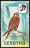 Greater Kestrel Falco rupicoloides  1981 Birds p 14Â½