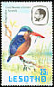 Malachite Kingfisher Corythornis cristatus  1981 Birds p 14Â½