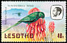 Malachite Sunbird Nectarinia famosa  1981 Birds p 14Â½