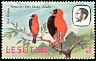 Southern Red Bishop Euplectes orix  1981 Birds p 14Â½