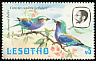 Lilac-breasted Roller Coracias caudatus  1981 Birds p 14Â½