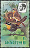 Cape Robin-Chat Dessonornis caffer  1982 Imprint 1982 on 1981.01 With wmk