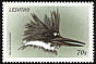 Belted Kingfisher Megaceryle alcyon  1999 Birds of the world 