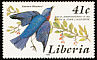 Eastern Bluebird Sialia sialis  1985 Audubon 