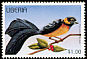 Sahel Paradise Whydah Vidua orientalis  1996 Birds 