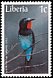 Black Bee-eater Merops gularis  1997 Birds 