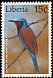 Blue-headed Bee-eater Merops muelleri  1997 Birds 