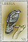 Eurasian Goshawk Accipiter gentilis  1999 Birds of prey Sheet