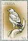 Lizard Buzzard Kaupifalco monogrammicus  1999 Birds of prey Sheet