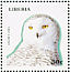 Snowy Owl Bubo scandiacus  1999 Endangered species 6v sheet