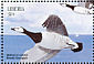 Barnacle Goose Branta leucopsis  1999 Seabirds Sheet