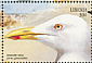 Iceland Gull Larus glaucoides  1999 Seabirds Sheet
