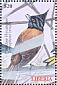 African Paradise Flycatcher Terpsiphone viridis  2000 Birds of the world Sheet