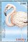 Greater Flamingo Phoenicopterus roseus  2000 Birds of the world  MS MS